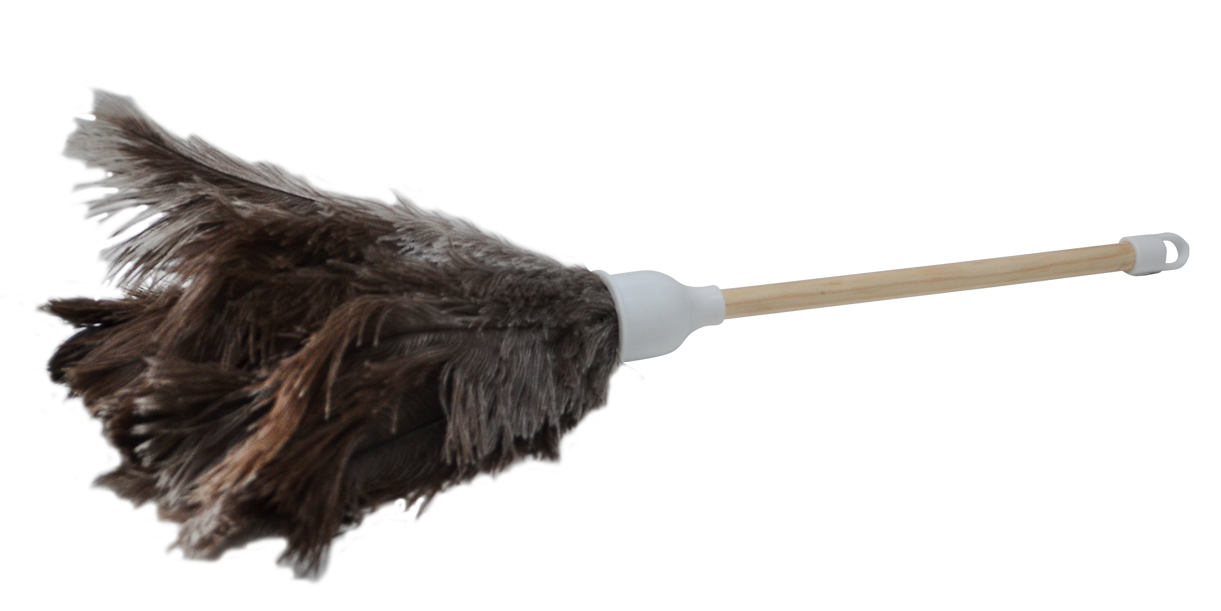 Falcon Brush